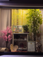 Tree of Life Schaufenster nah.png